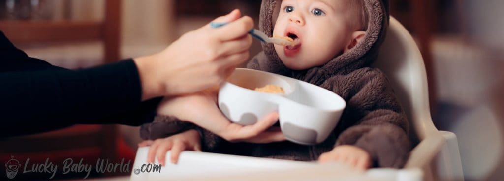 Portable High Chairs